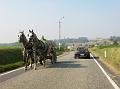 De namiddagrit verkennen we het Pajottenland en de Vlaamse Ardennen, met de Hellingen en Kasseistroken uit de Ronde van Vlaanderen (26)